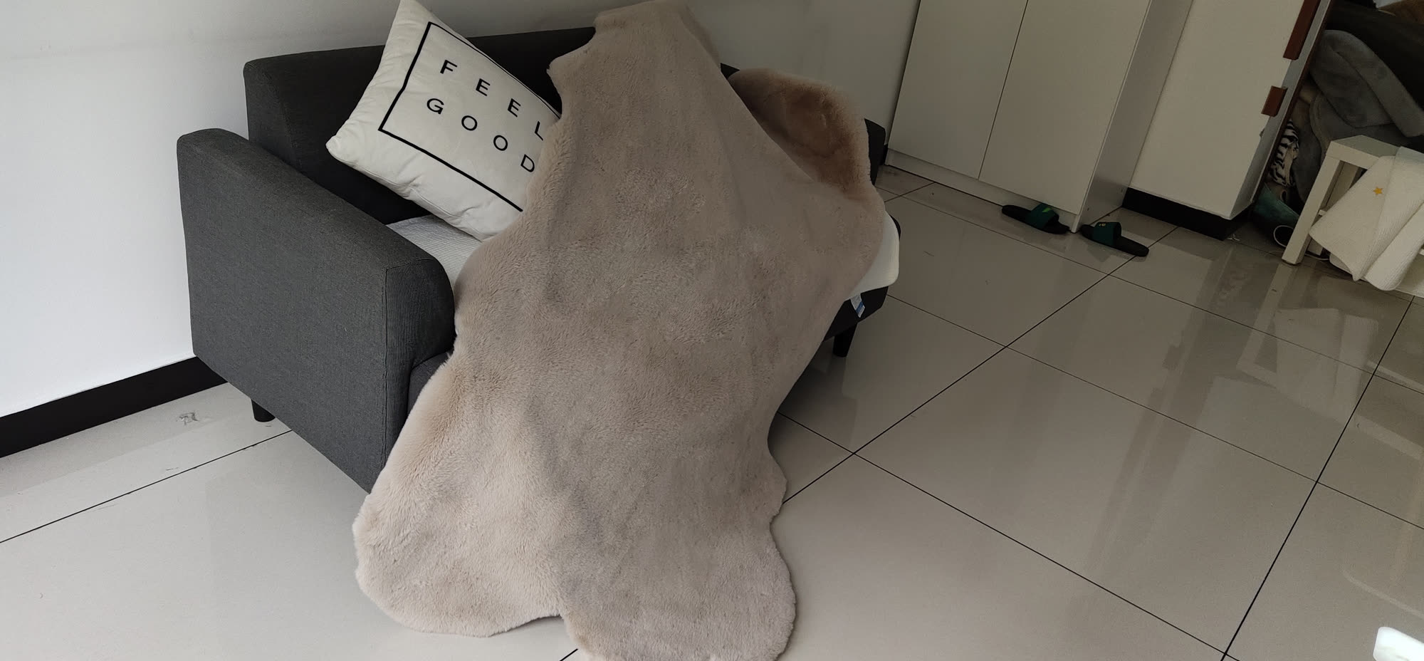 Premium Fluffy Carpet Design